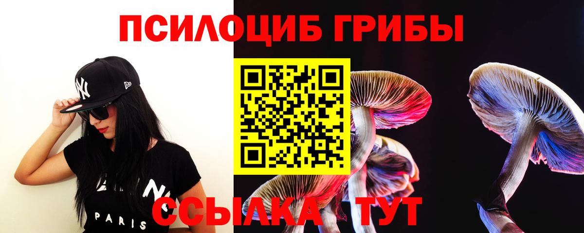 Меф Владивосток