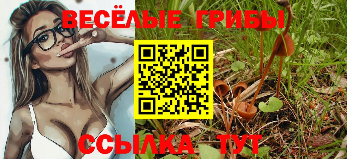 Псилоцибиновые грибы Psilocybine cubensis  Вход с VPN  Владивосток 